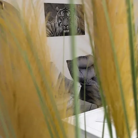 Grosse Helle Naehe Audi Und Lidl It *